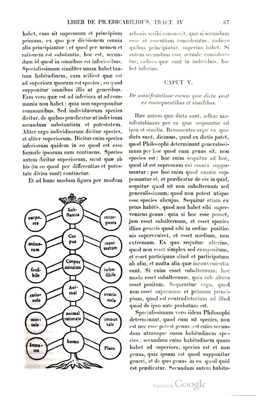 Printed page